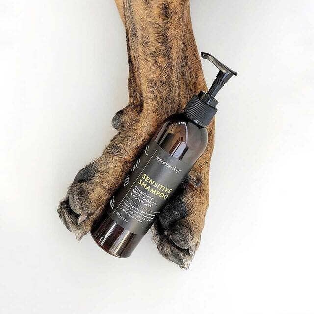 Natural Sensitive Dog Shampoo