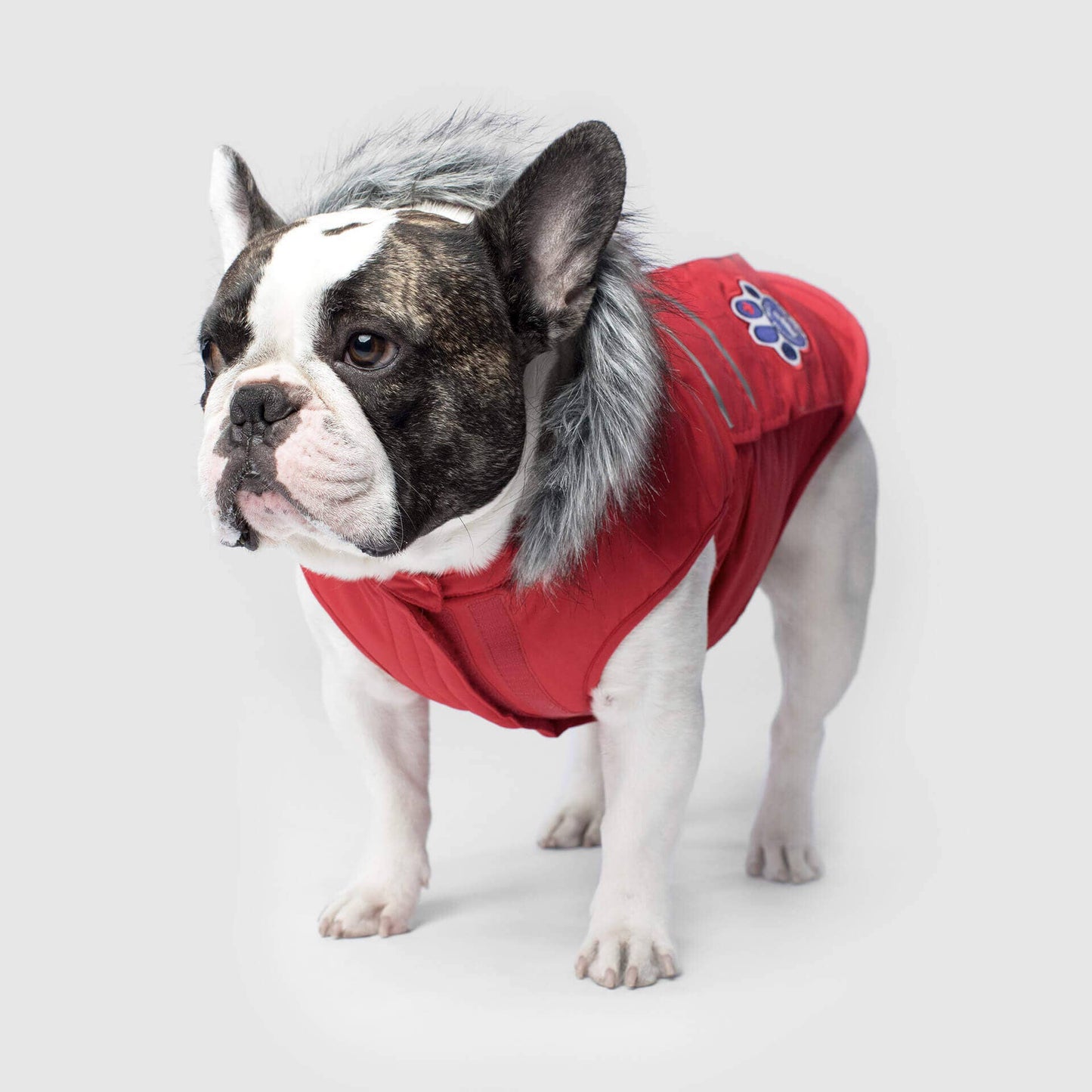 Everest Explorer Jacket- Dog Coat: Red Reflective / 22