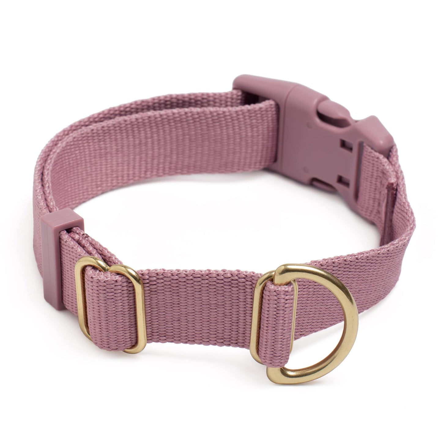 Pack Collar: PINE / Large