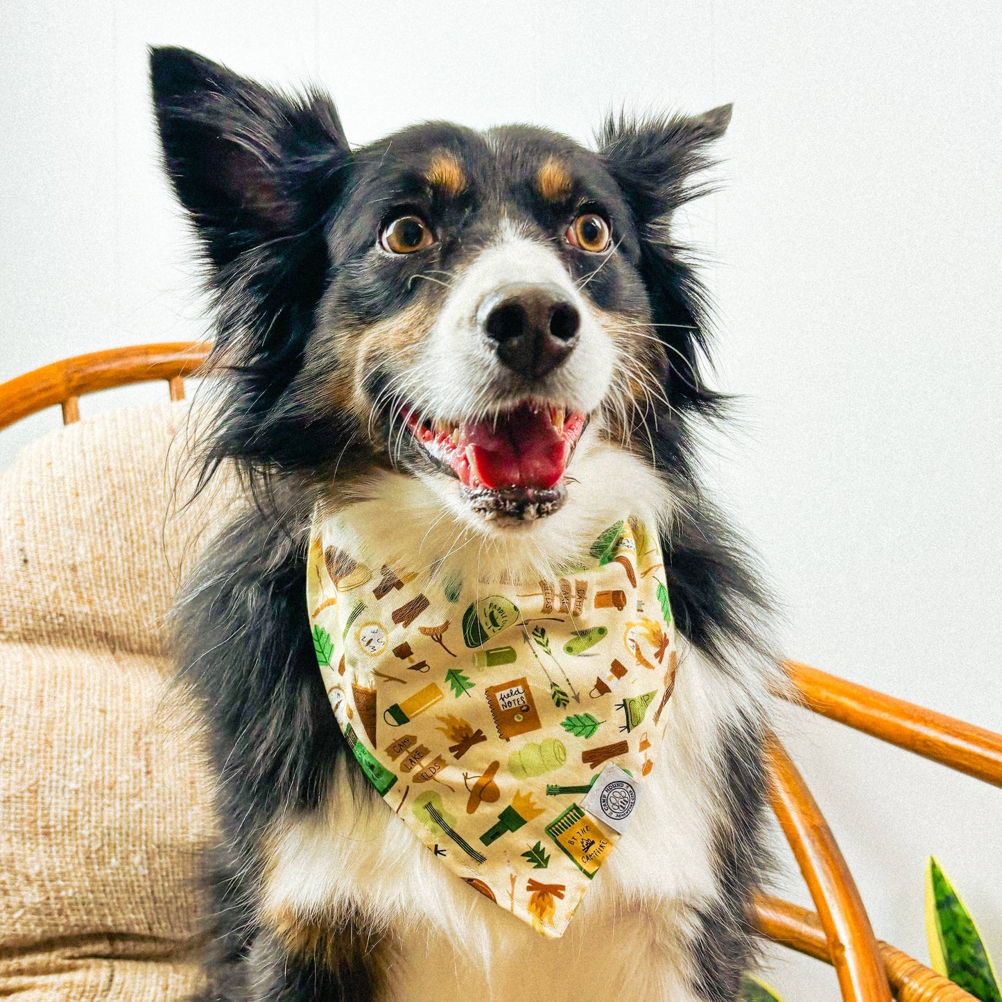 Archie Dog Bandana | Camping Outdoor Adventure Pet Accessory: Beige / L