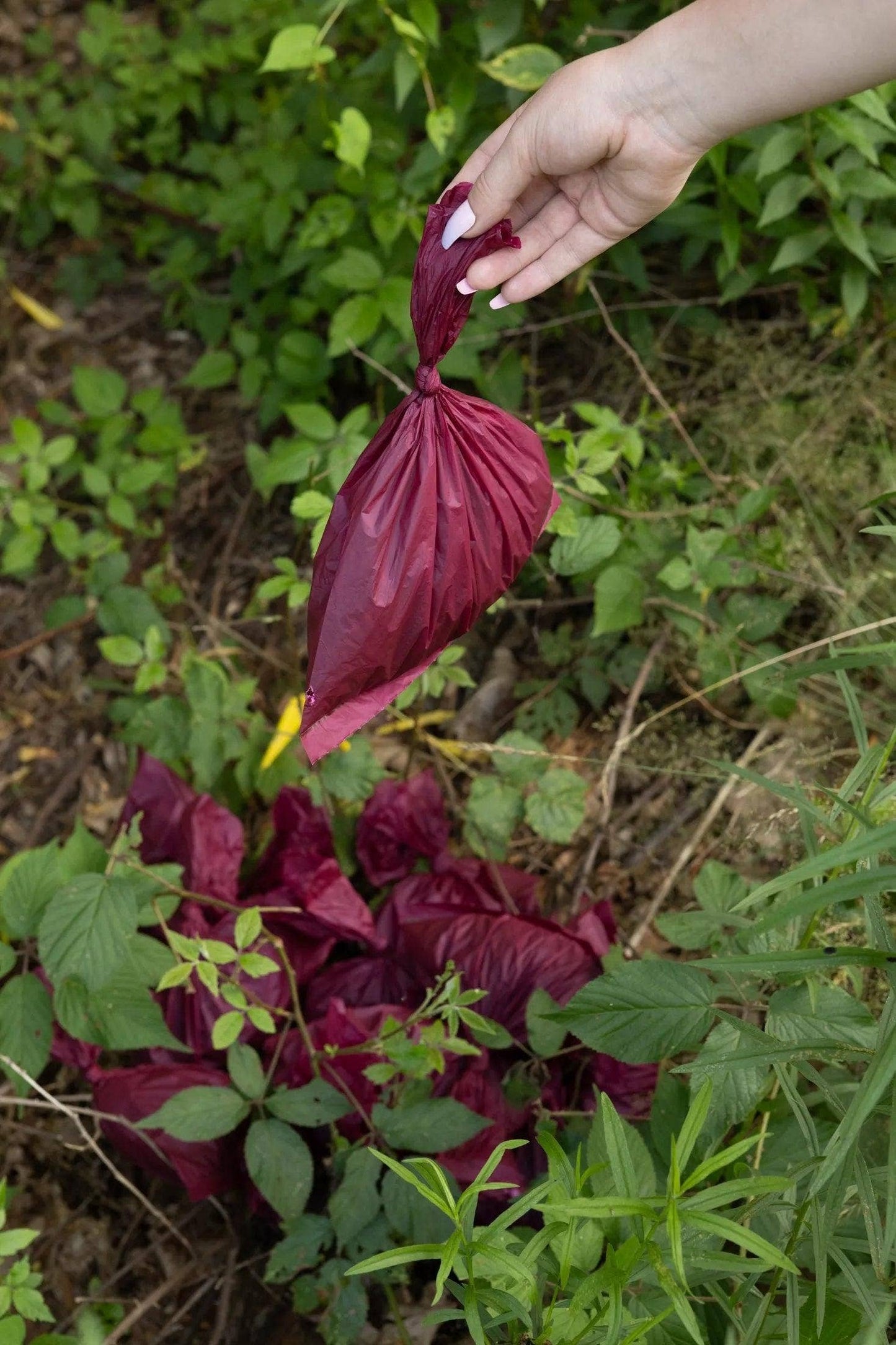 Plant Based Compostable Waste Bags: Pomegranate / 12 Rolls - 120 Bags