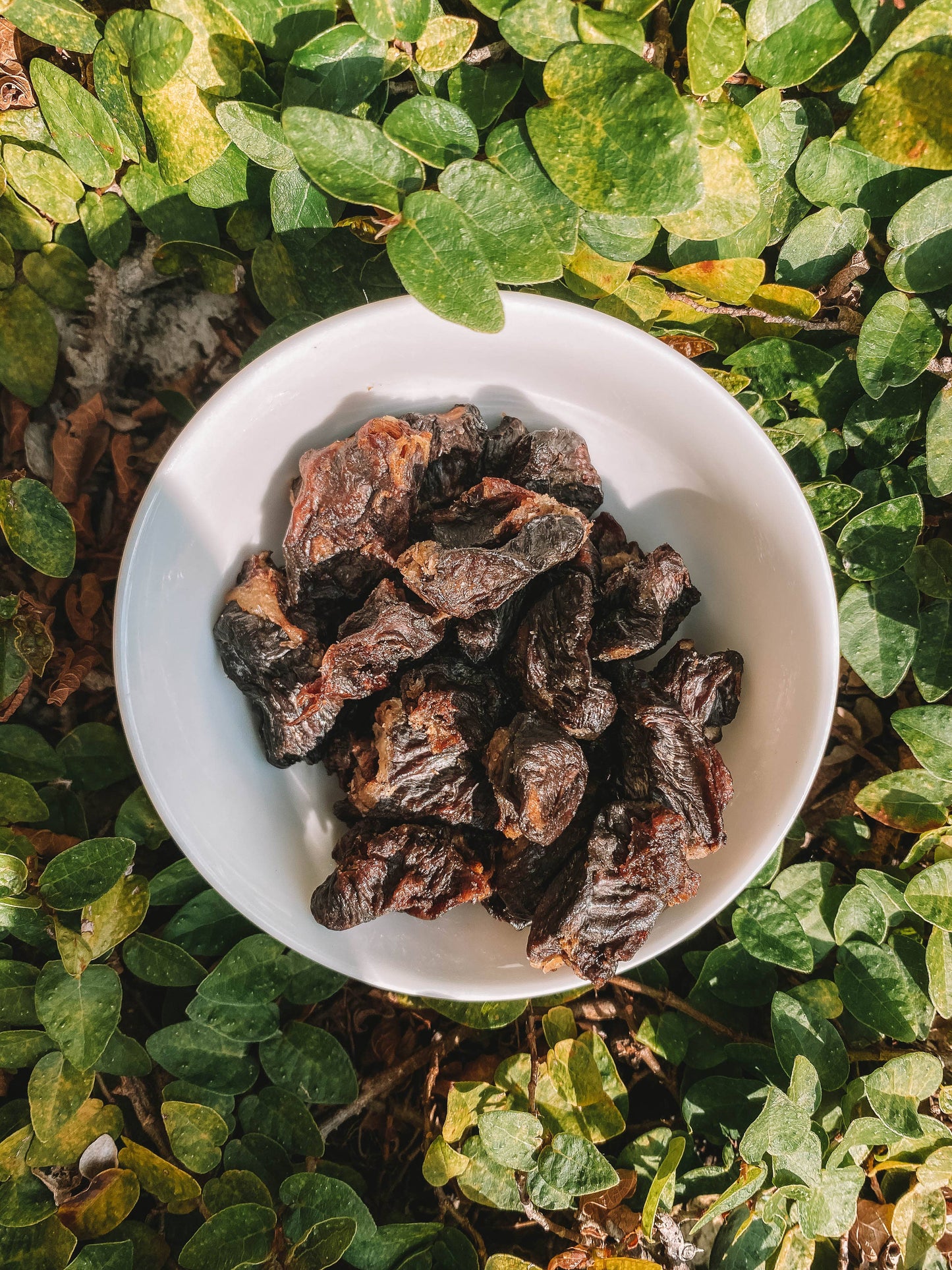 Dehydrated Chicken Hearts: 5 oz