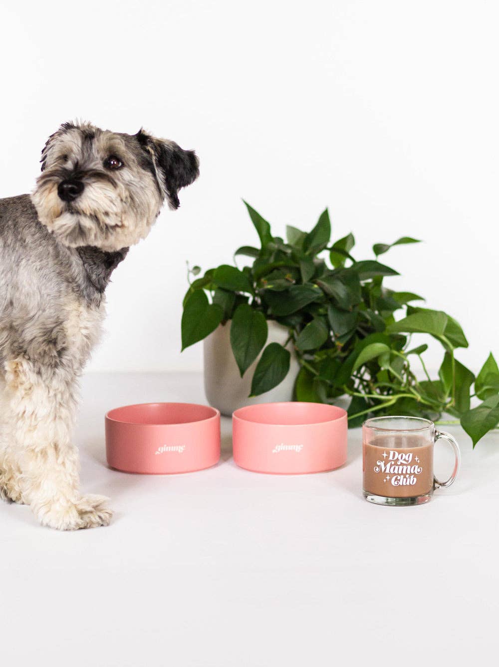 Gimme Ceramic Dog Bowl