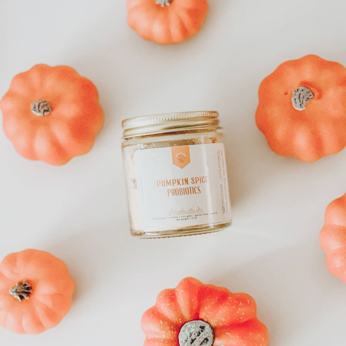 Organic Pumpkin Spice Probiotics Supplement