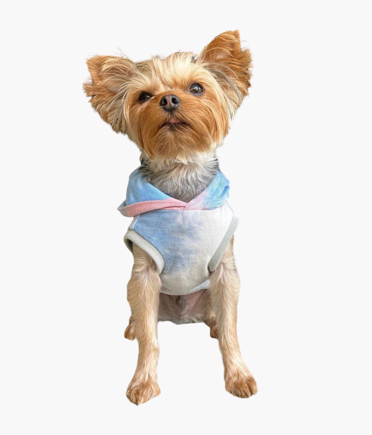Tie Dye Dog Hoodie