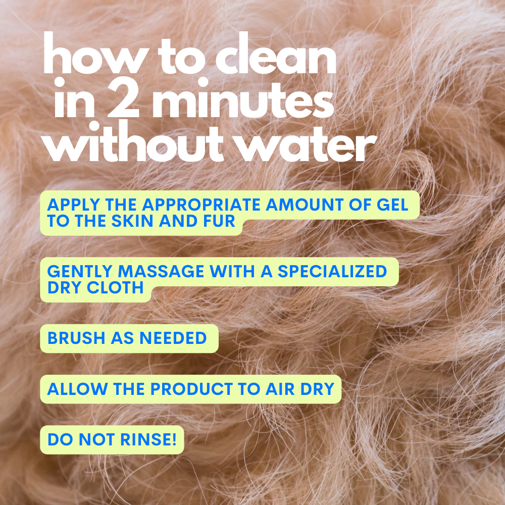 One Two Clean No-Rinse Spray
