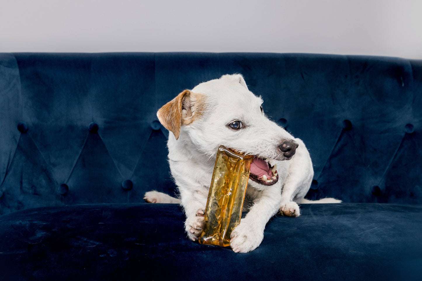 Mighty Marrows Collagen Dental Chew - Spirulina Beef