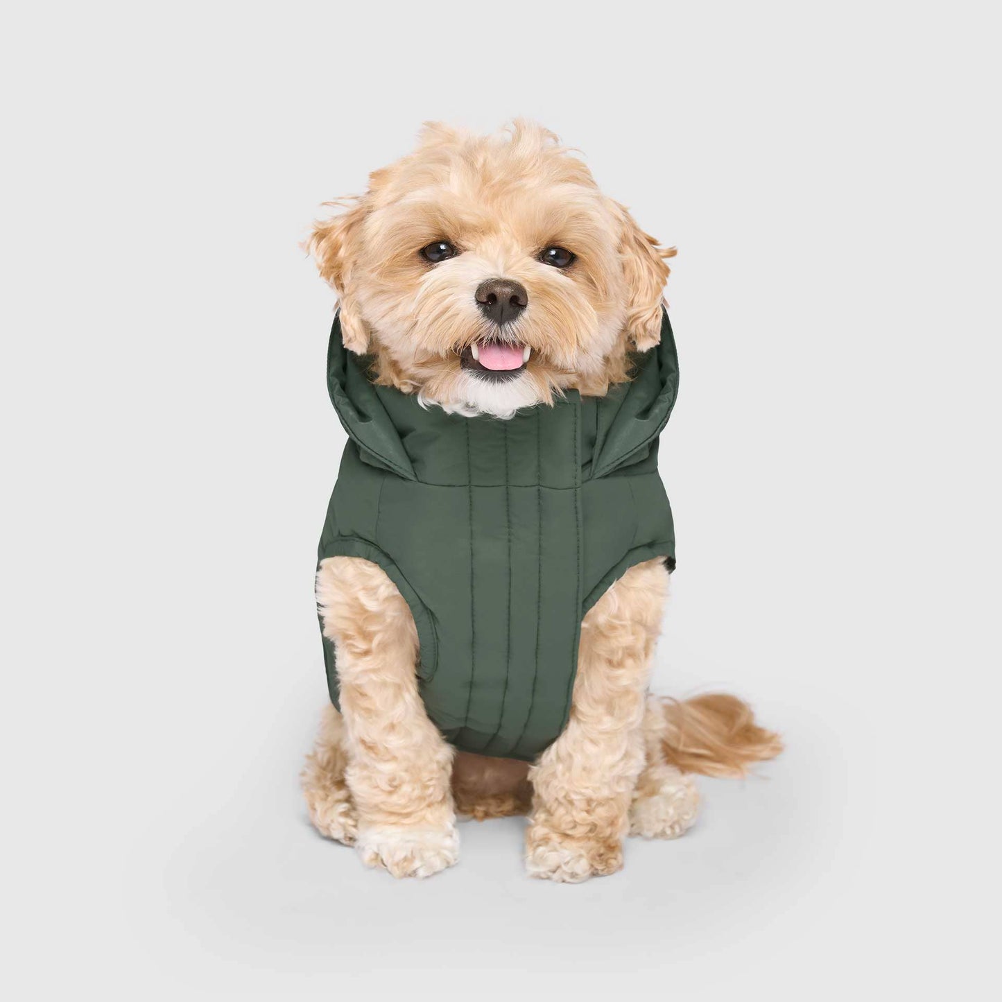 Waterproof Dog Puffer: Black / 18