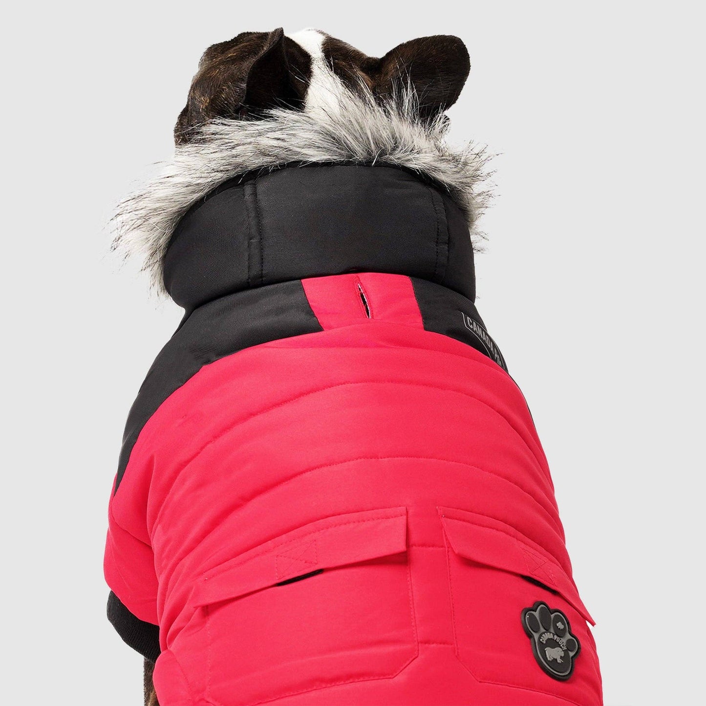 True North Dog Parka: Black / 18