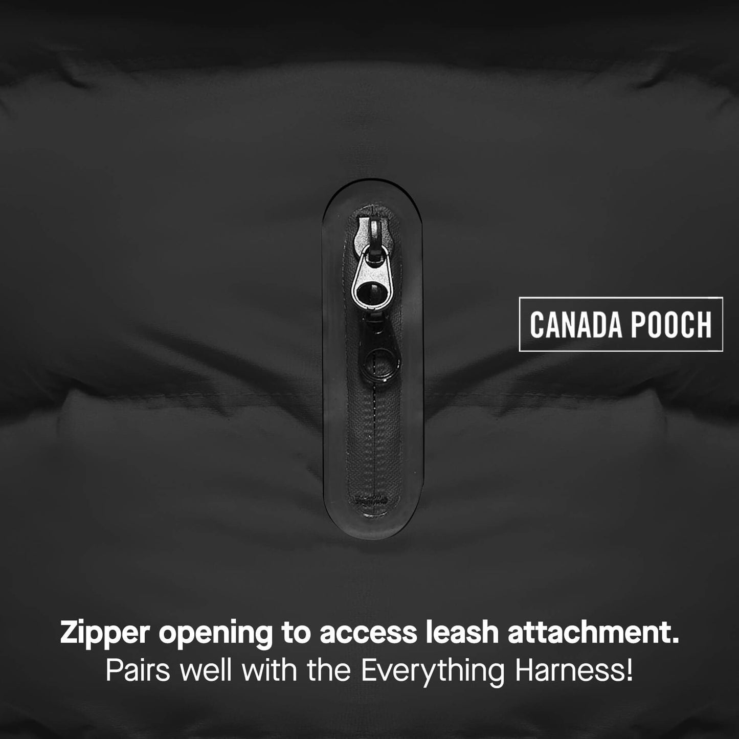Waterproof Dog Puffer: Black / 18