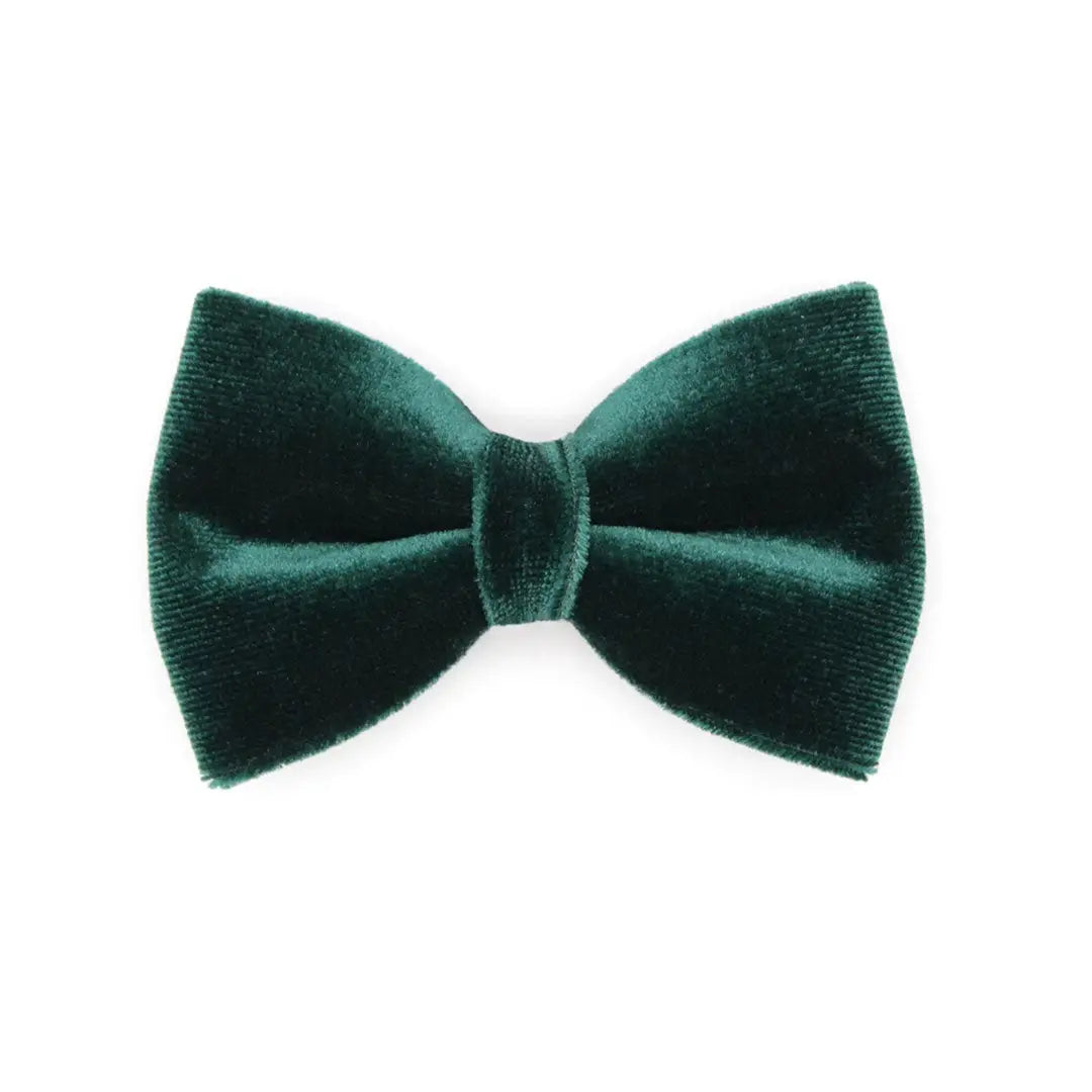 Hunter Green Velvet Bow Tie for Cats + Small Dogs