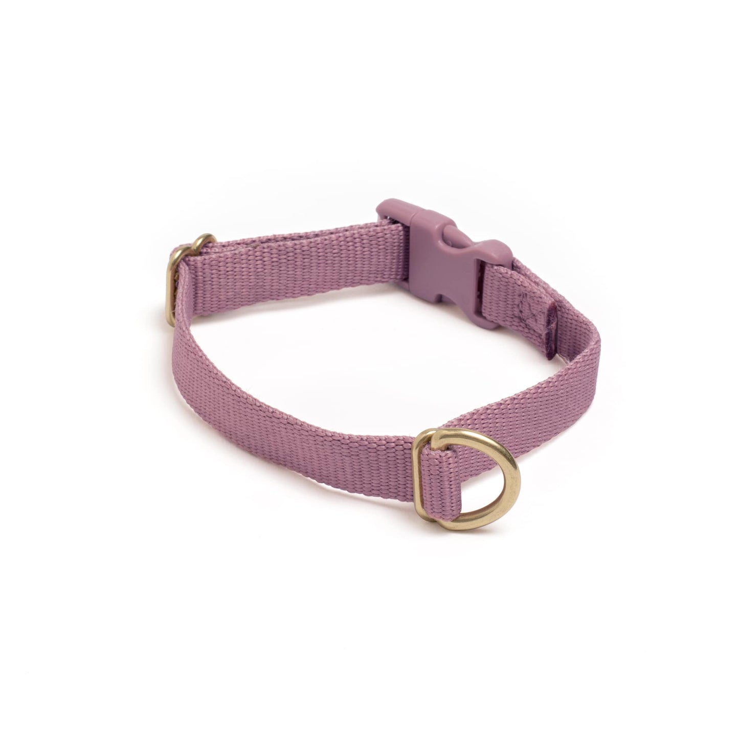 Pack Collar: PINE / Large