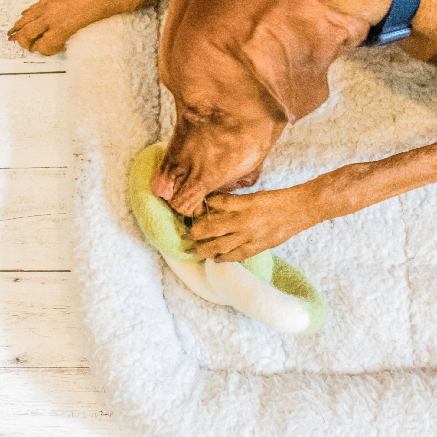 Link Felt Toy: LIME / Large