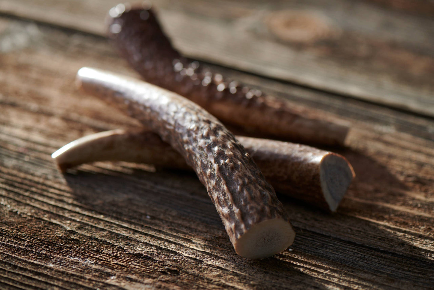 Whole Elk Antler Dog Chews