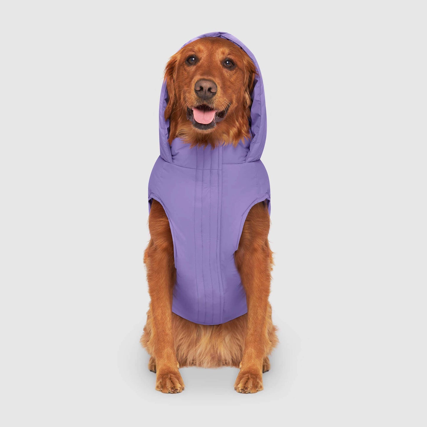 Waterproof Dog Puffer: Black / 18