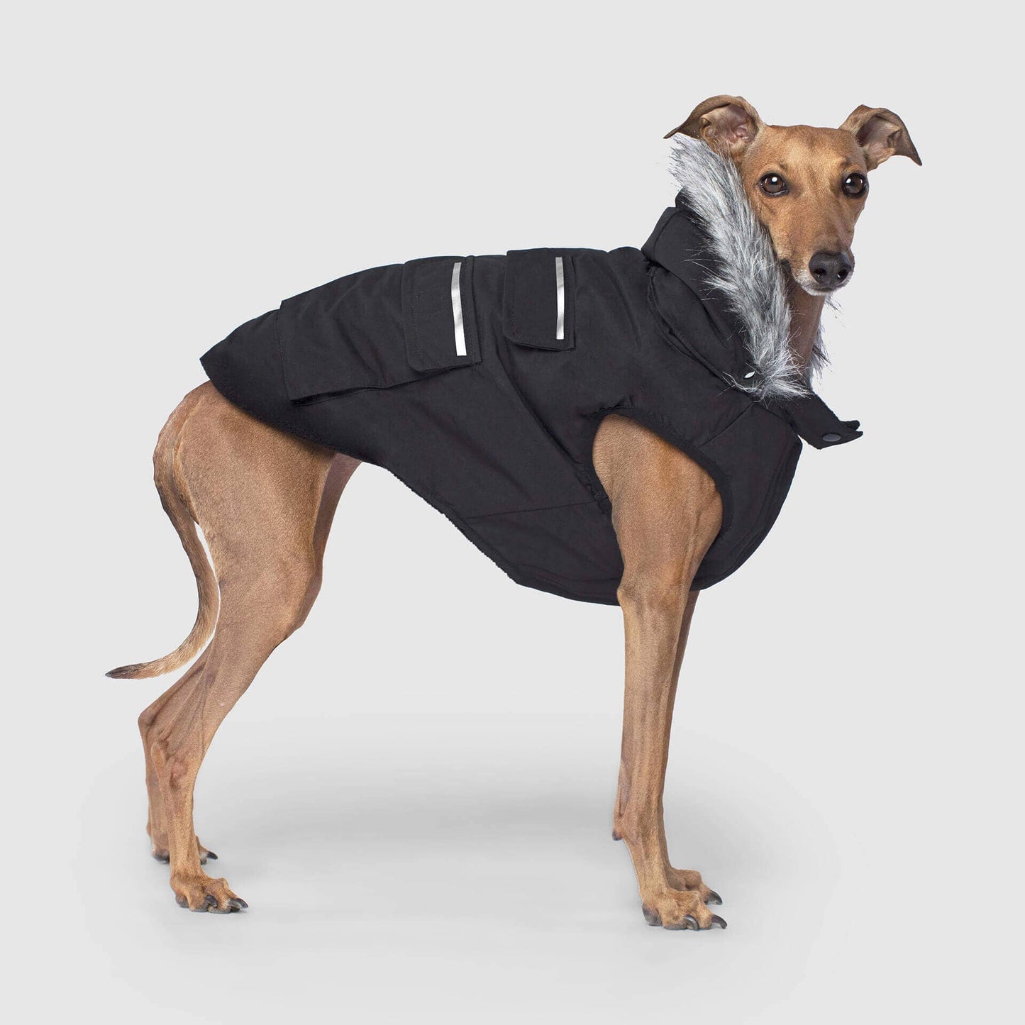 Everest Explorer Jacket- Dog Coat: Red Reflective / 22
