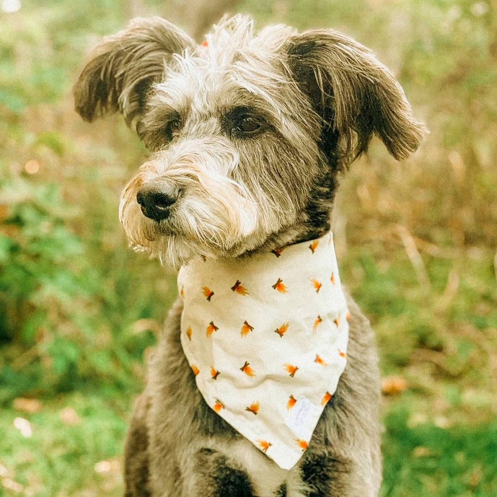 Ember Dog Bandana | Campfire Hike Outdoor Camp Pet Accessory: Cream / XL