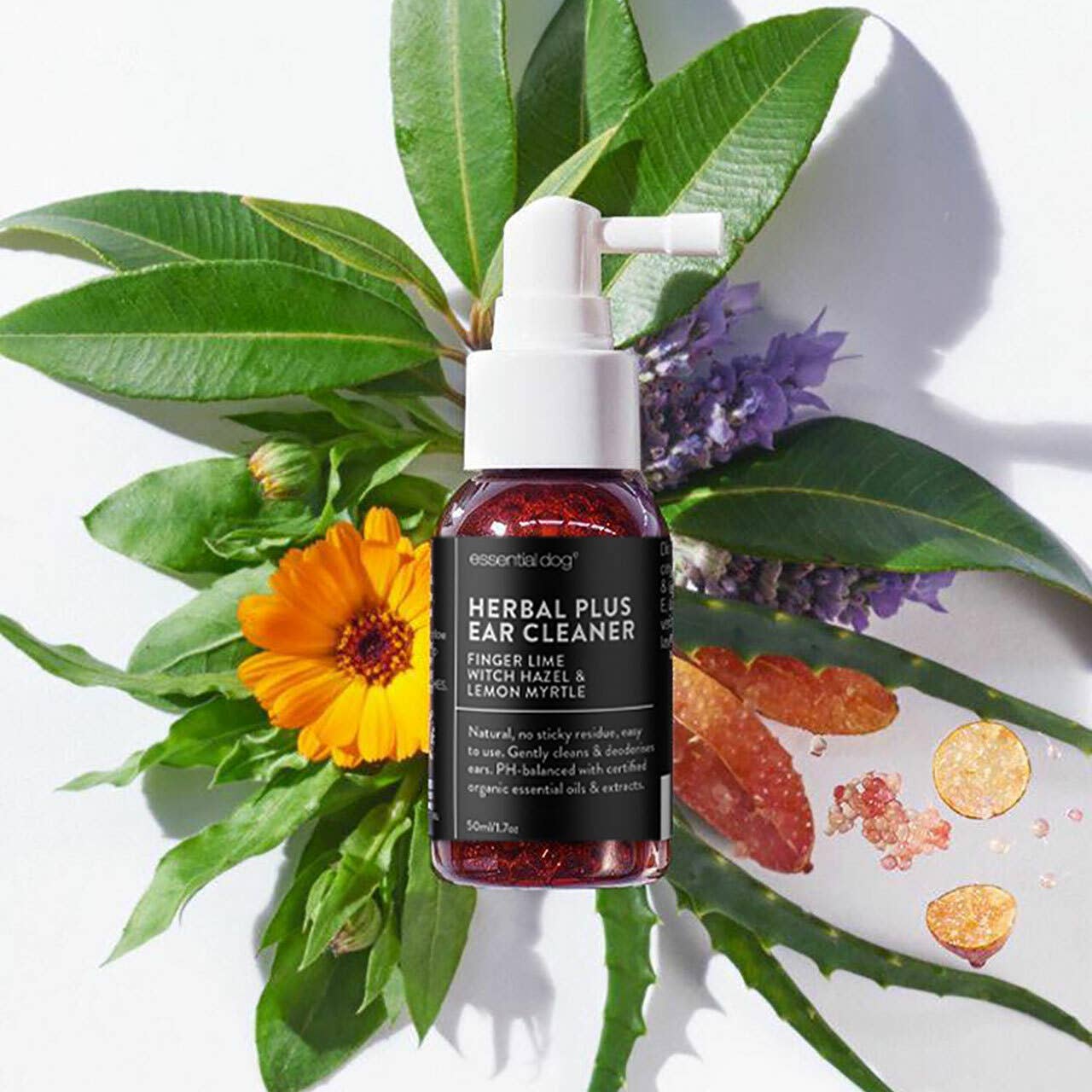 Herbal Dog Ear Cleaner