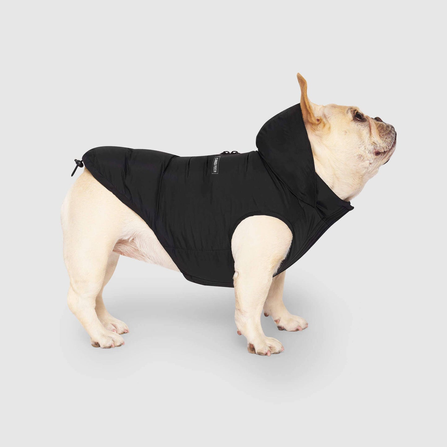 Waterproof Dog Puffer: Black / 18