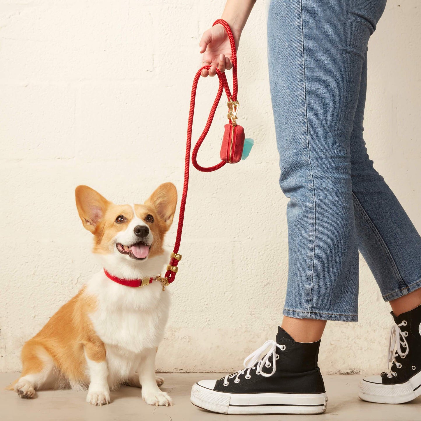 Ruby Red Dog Collar