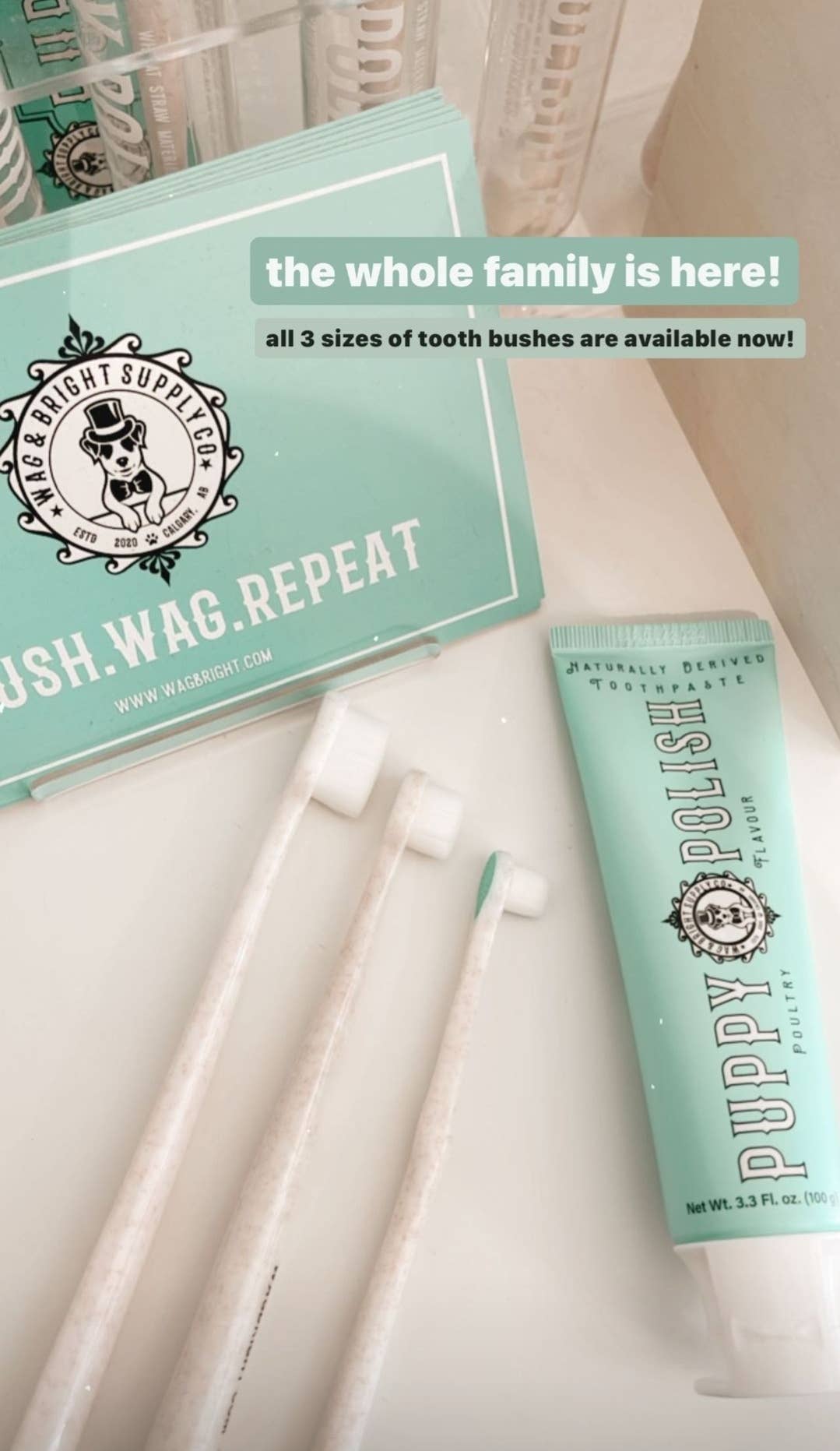 Puppy Polish Toothpaste - Beef Filet Mignon