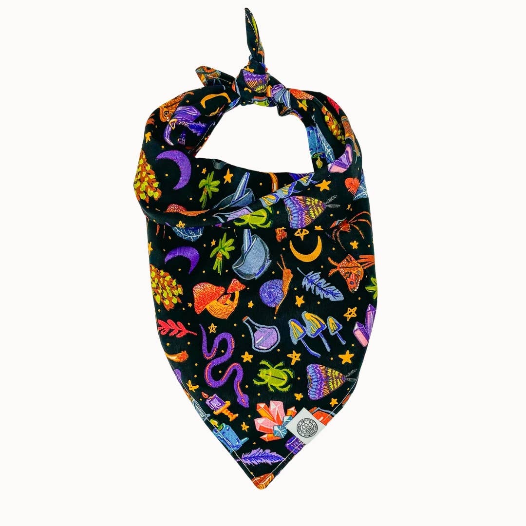 Salem Dog Bandana | Halloween Witch Bohemian Pet Scarf: Black / XL