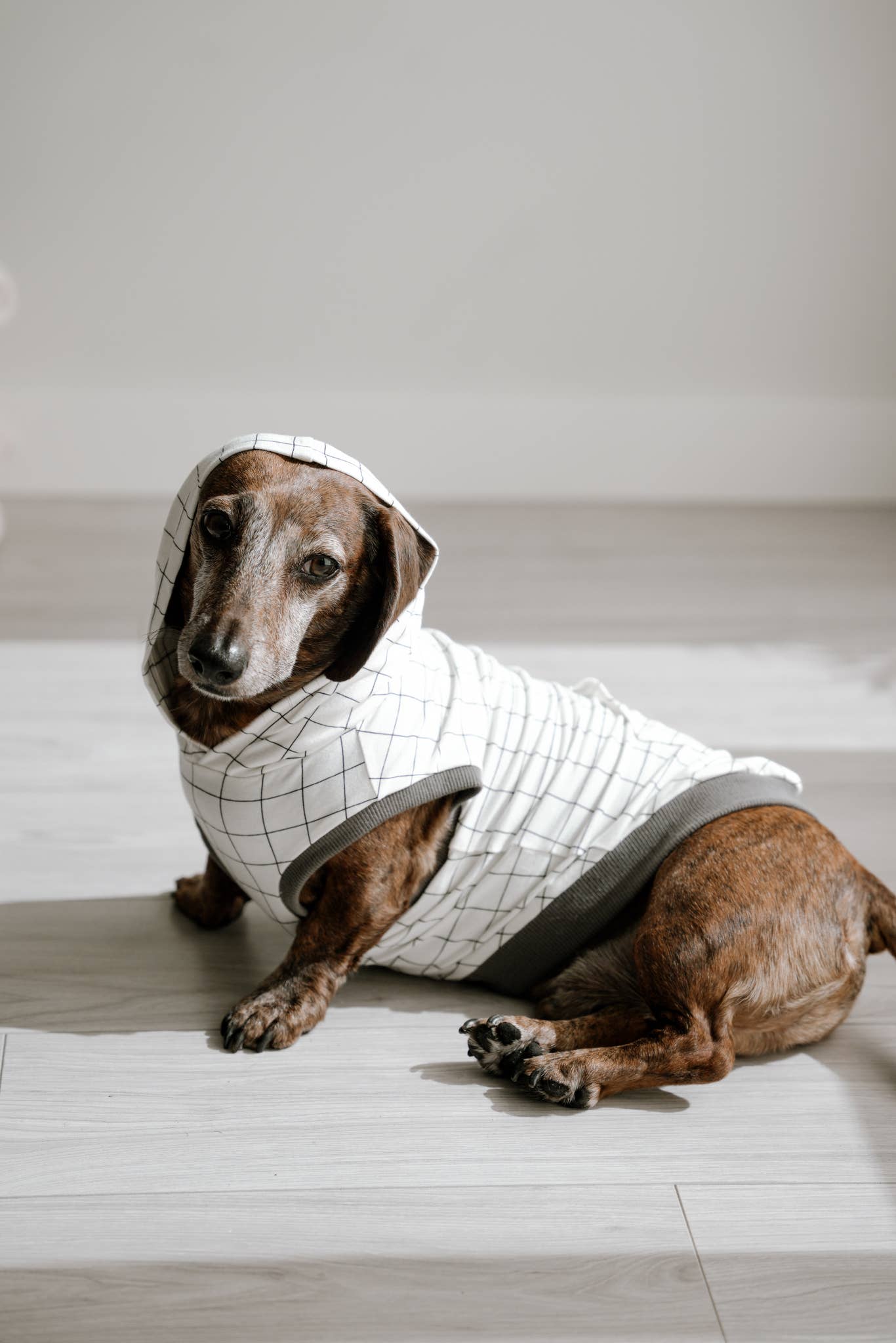 Grid Dog Hoodie