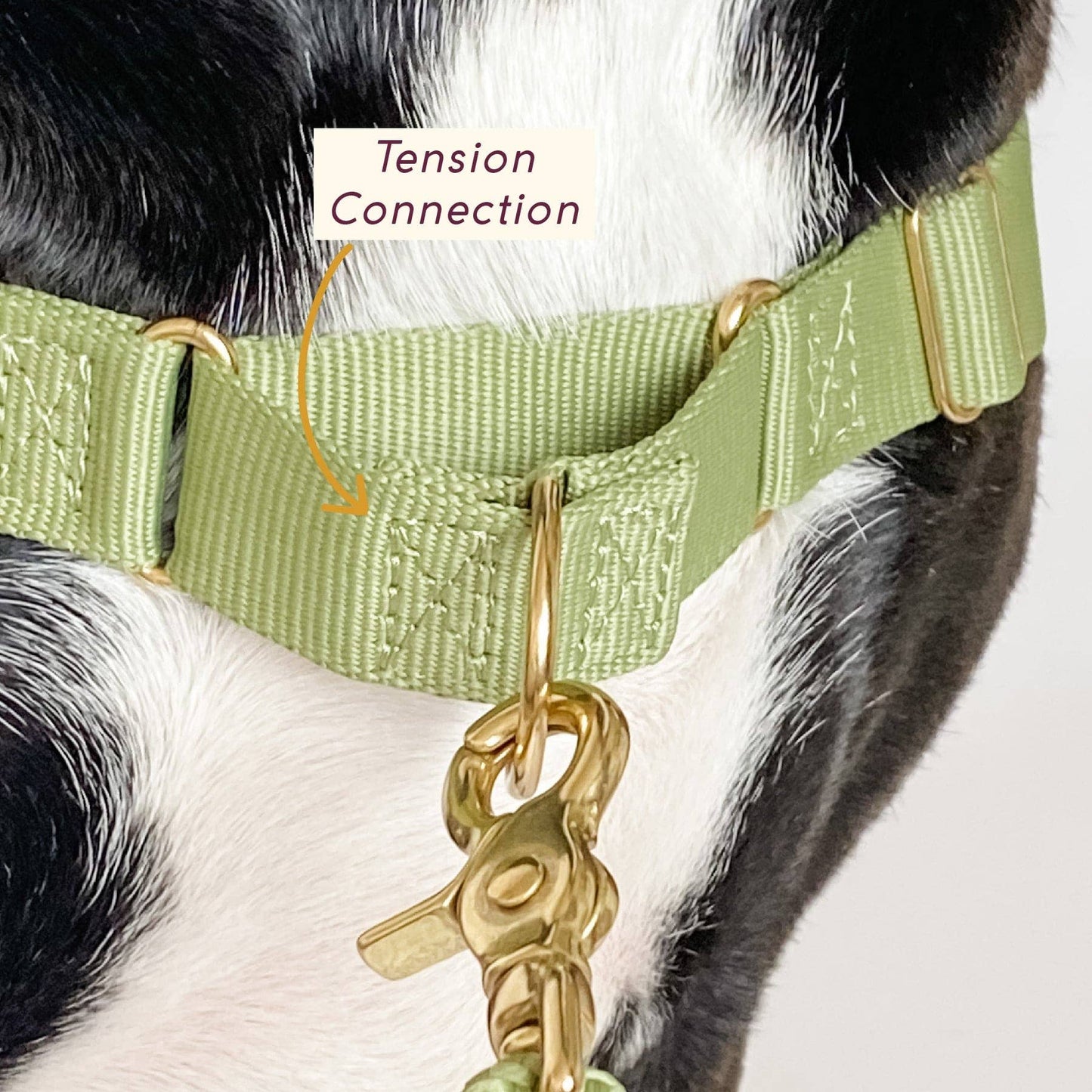 Roam Harness: PEACH / Large
