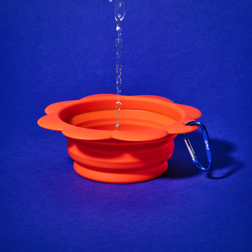 Flower Bowl - Silicone Collapsible Travel Bowl for Dogs