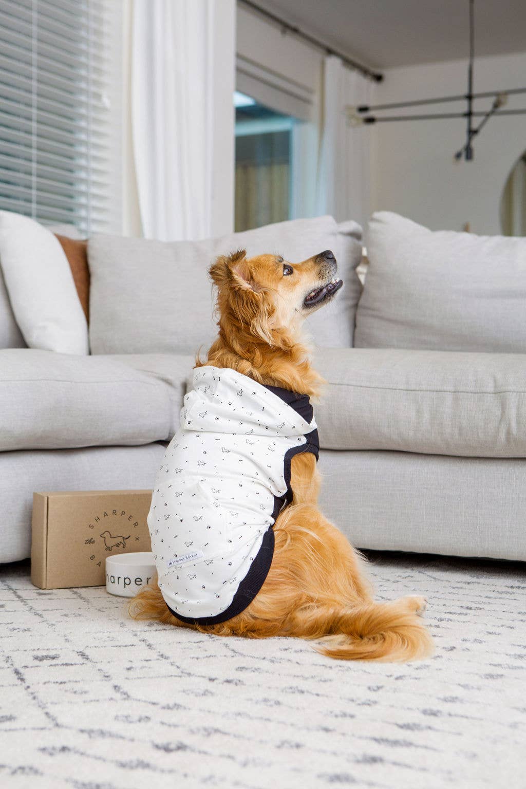 Paws & Bones Dog Hoodie