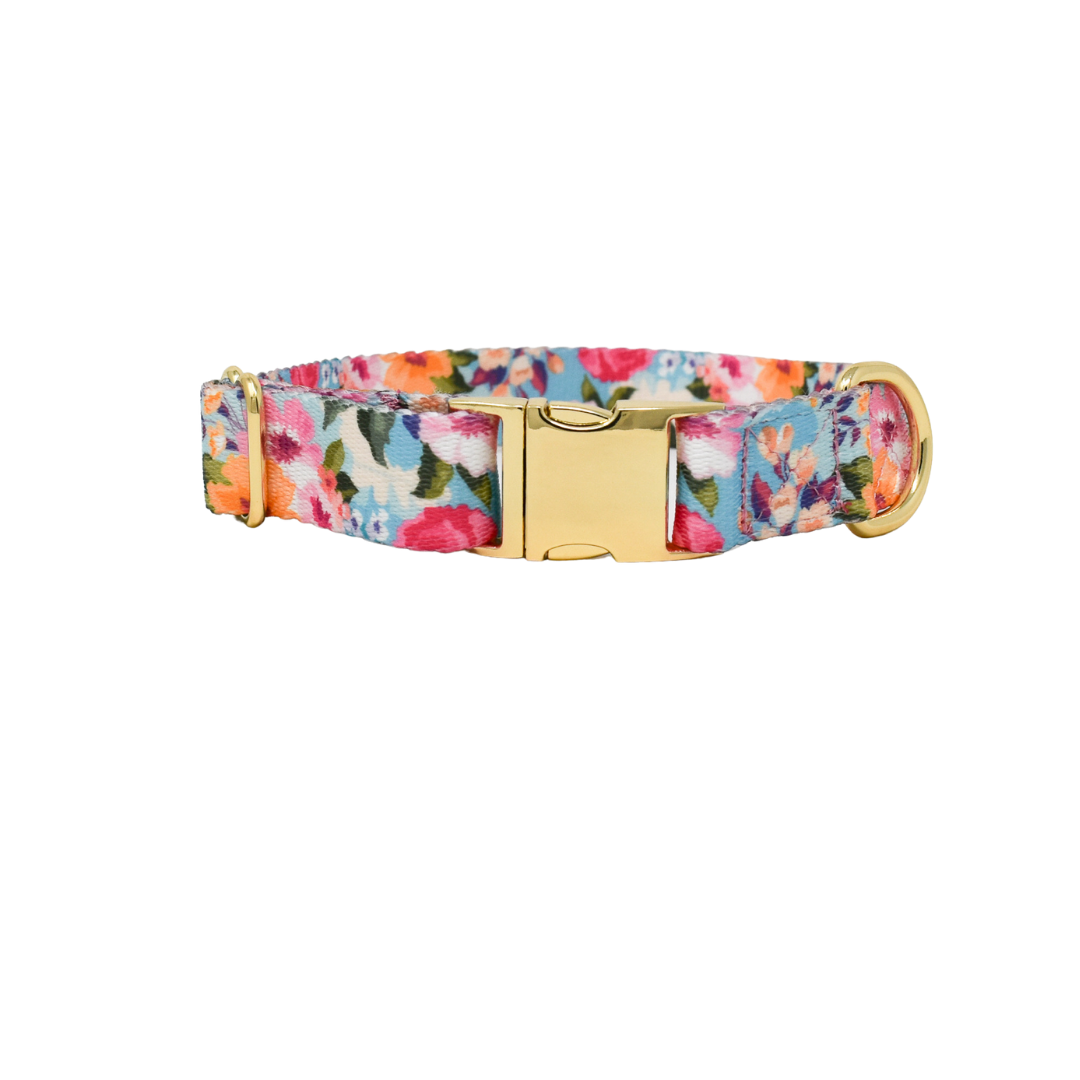 Blue Undertone Floral Dog Collar