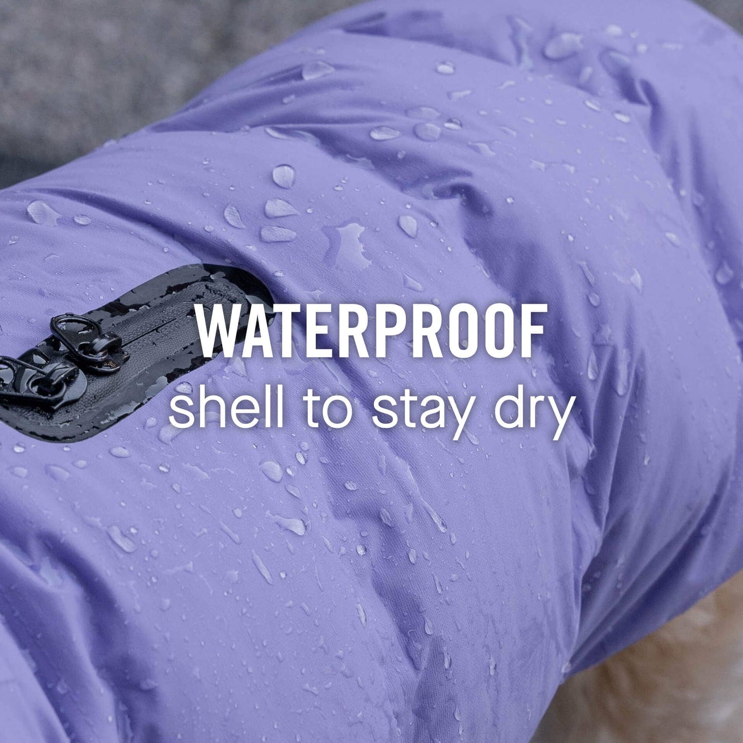 Waterproof Dog Puffer: Black / 18