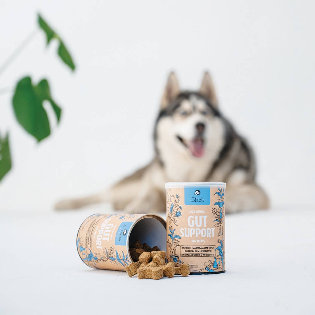 Gizzls 100% Natural Dog Treats for Gut Support
