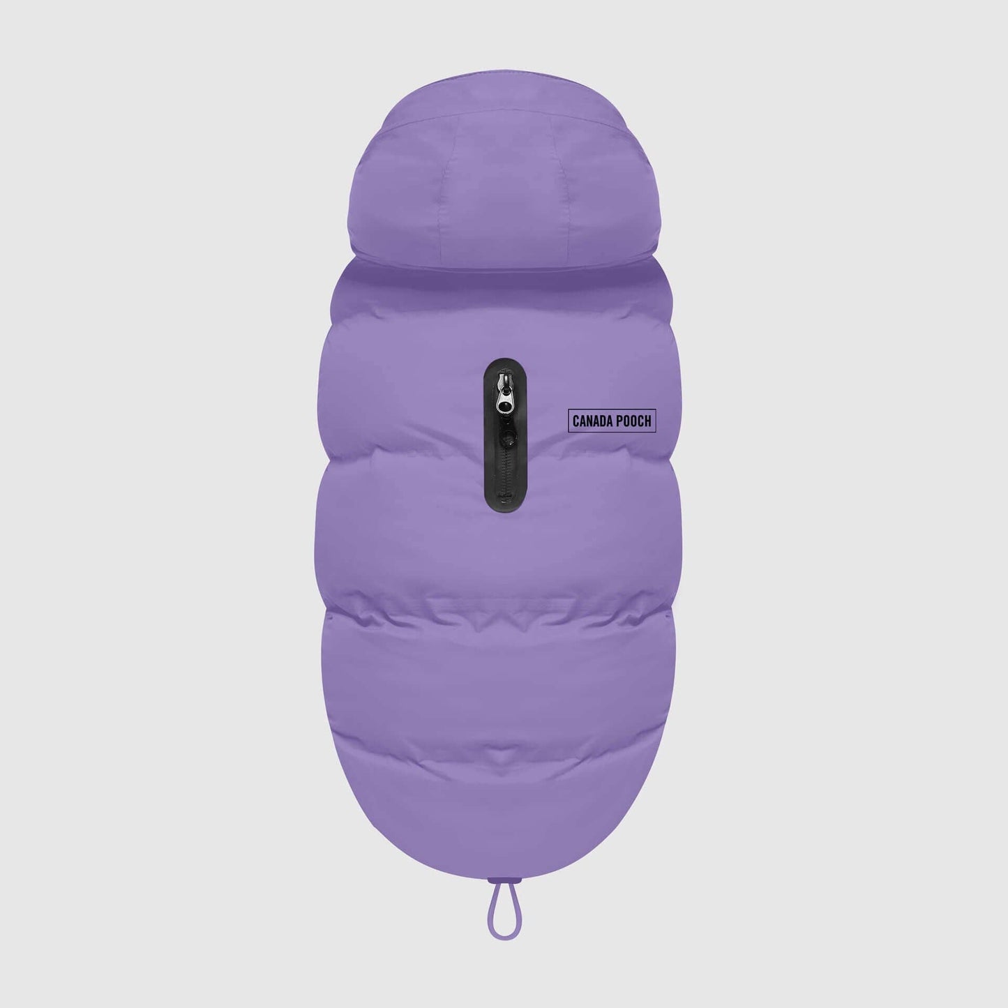 Waterproof Dog Puffer: Black / 18