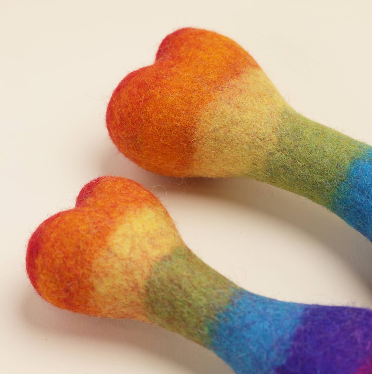 Small Rainbow Wool Bone