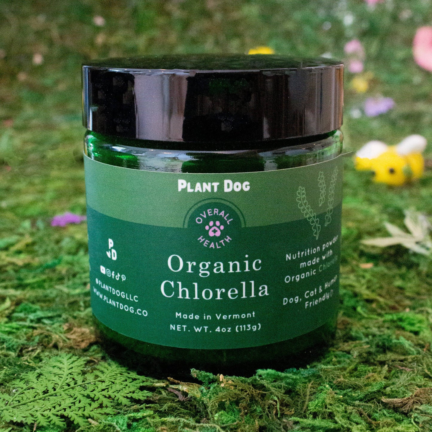 Chlorella Powder Supplement- Natural Immunity Boost and Anti