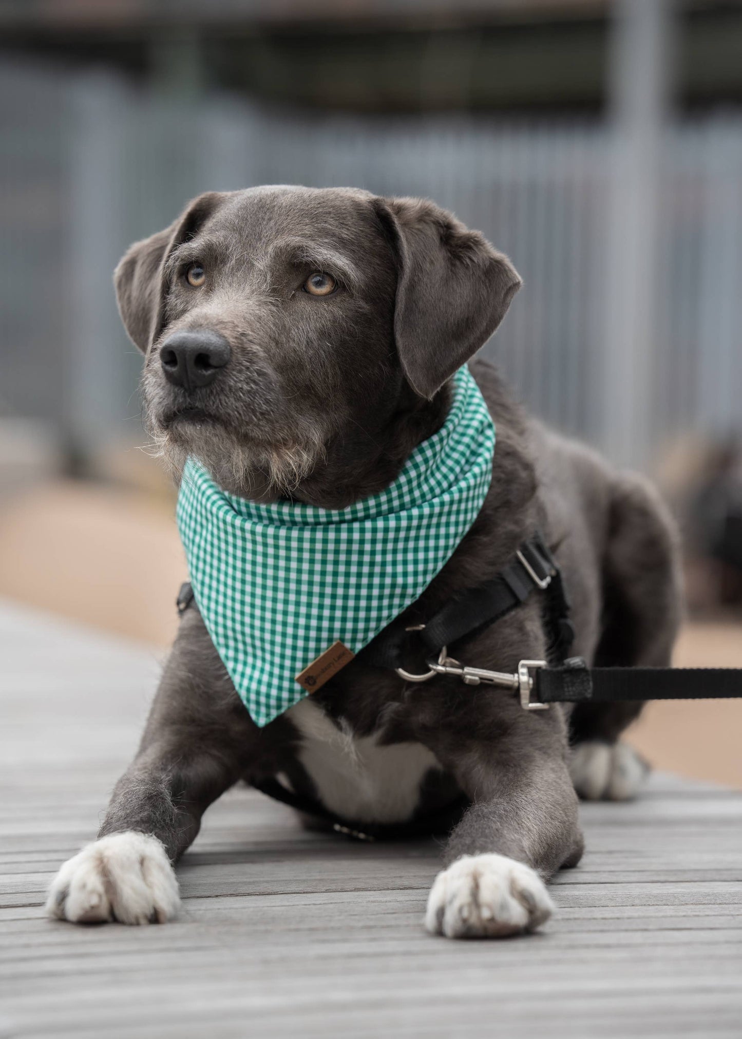 Matching Headband and Bandana- Green Gingham