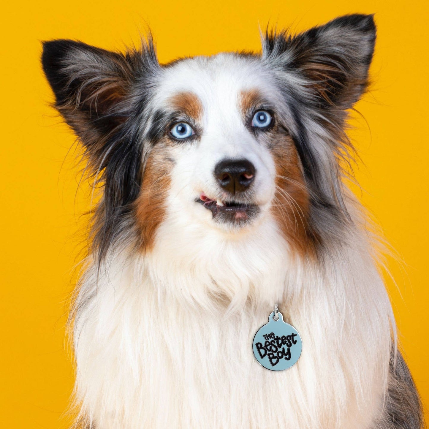 The Bestest Boy Tag