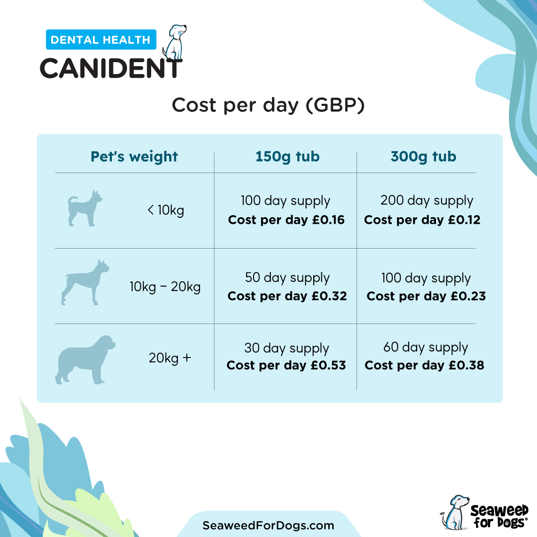 Canident Dental Health Supplement - 150 grams