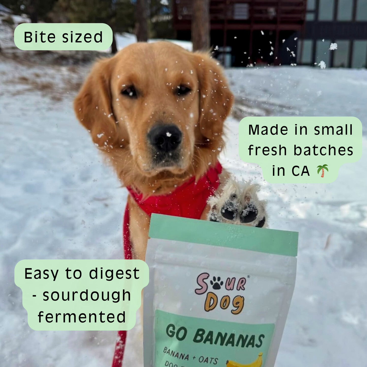 Go Bananas - Banana Sourdough Dog Treats