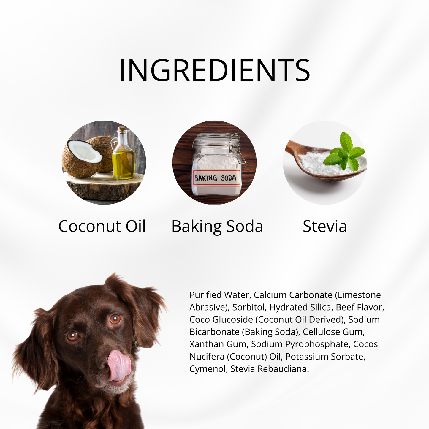 Puppy Polish Toothpaste - Beef Filet Mignon