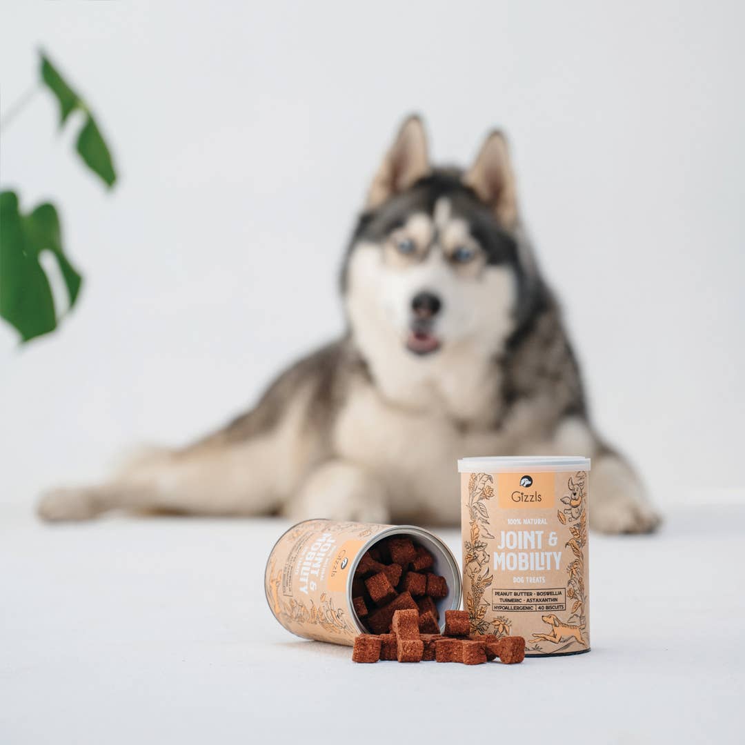 Gizzls 100% Natural Dog Treats for Joint & Mobility