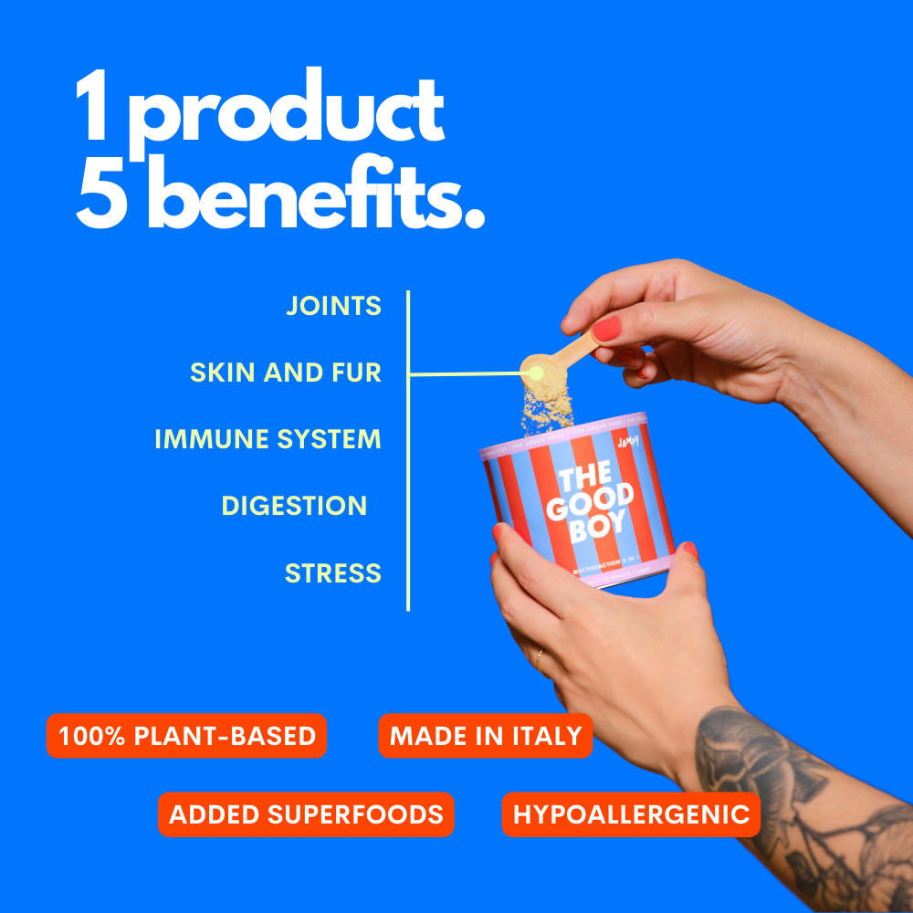 The Good Boy - Multivitamin 5 in 1 Powder Plant-based : 1 pack