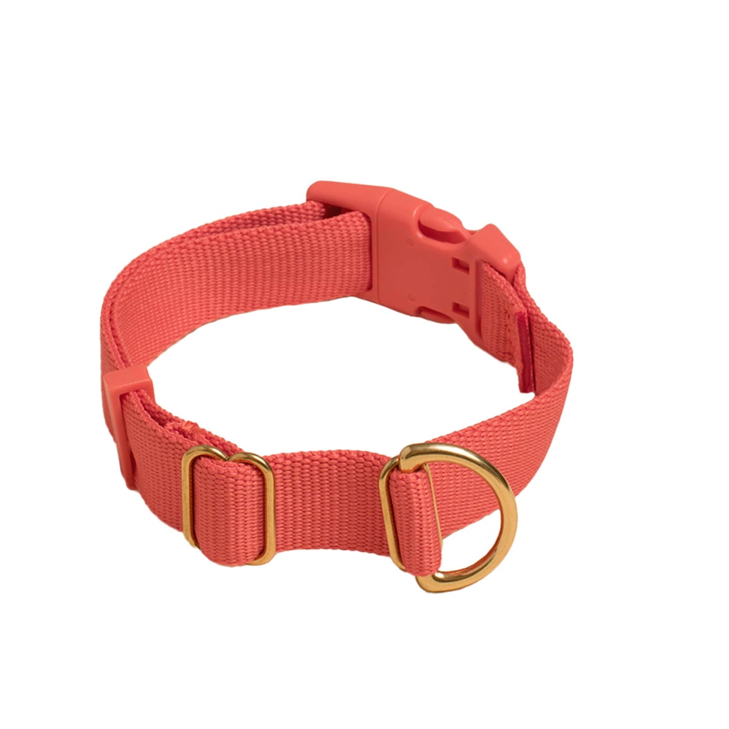 Pack Collar: PINE / Large