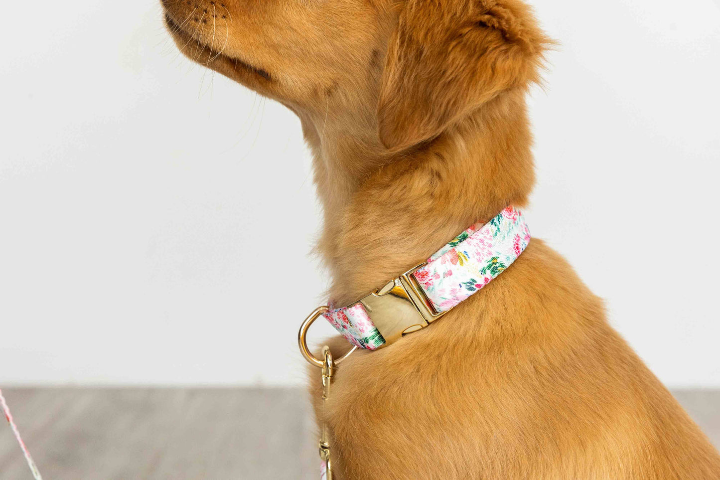 Isabella Floral Dog Collar