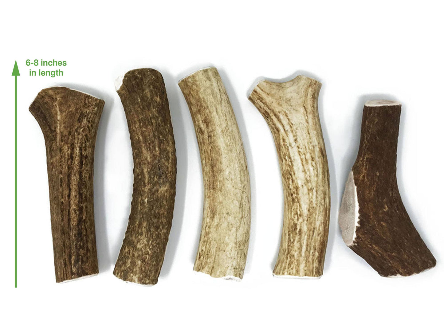 Whole Elk Antler Dog Chews