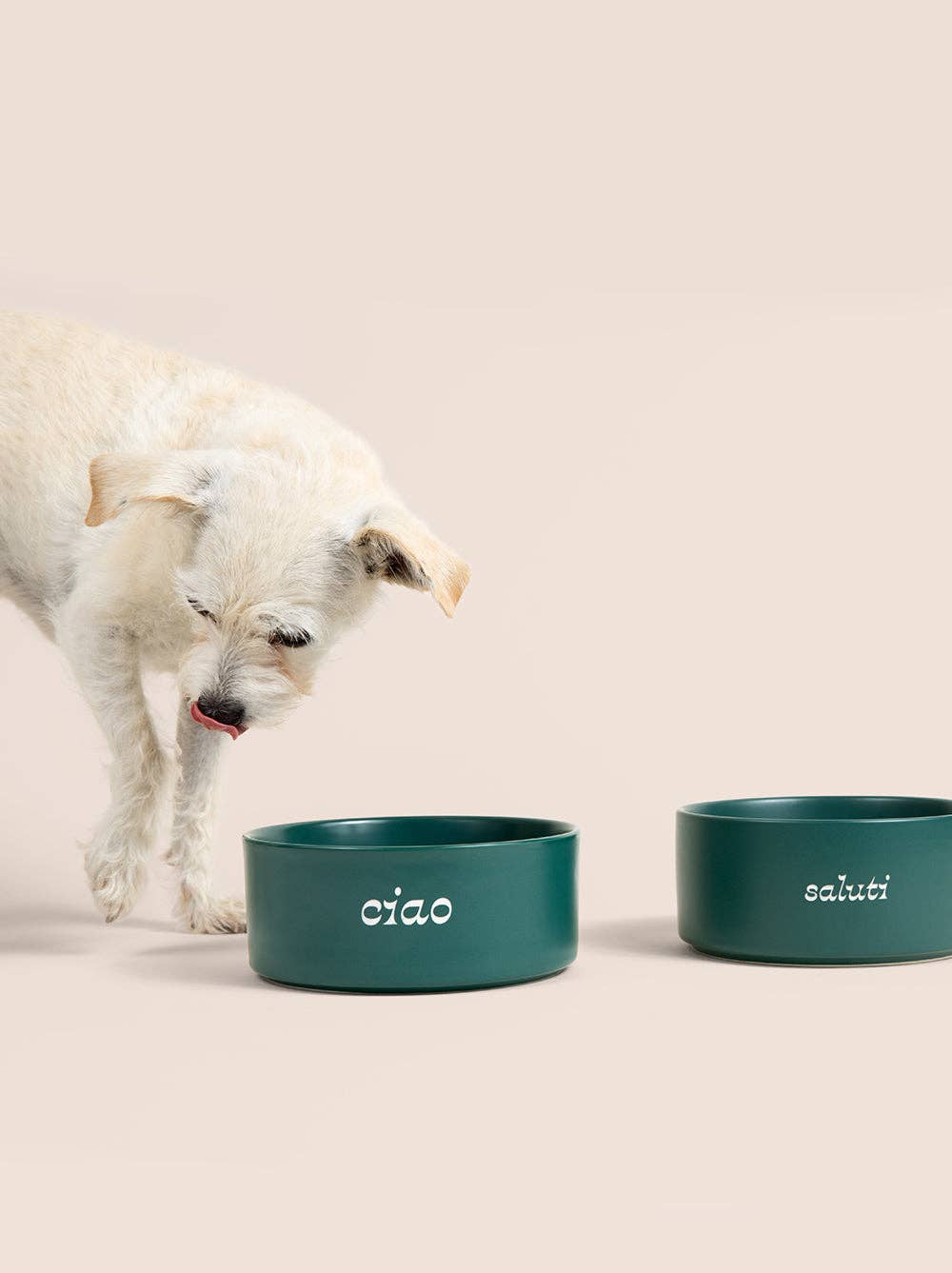 Saluti Ceramic Dog Bowl
