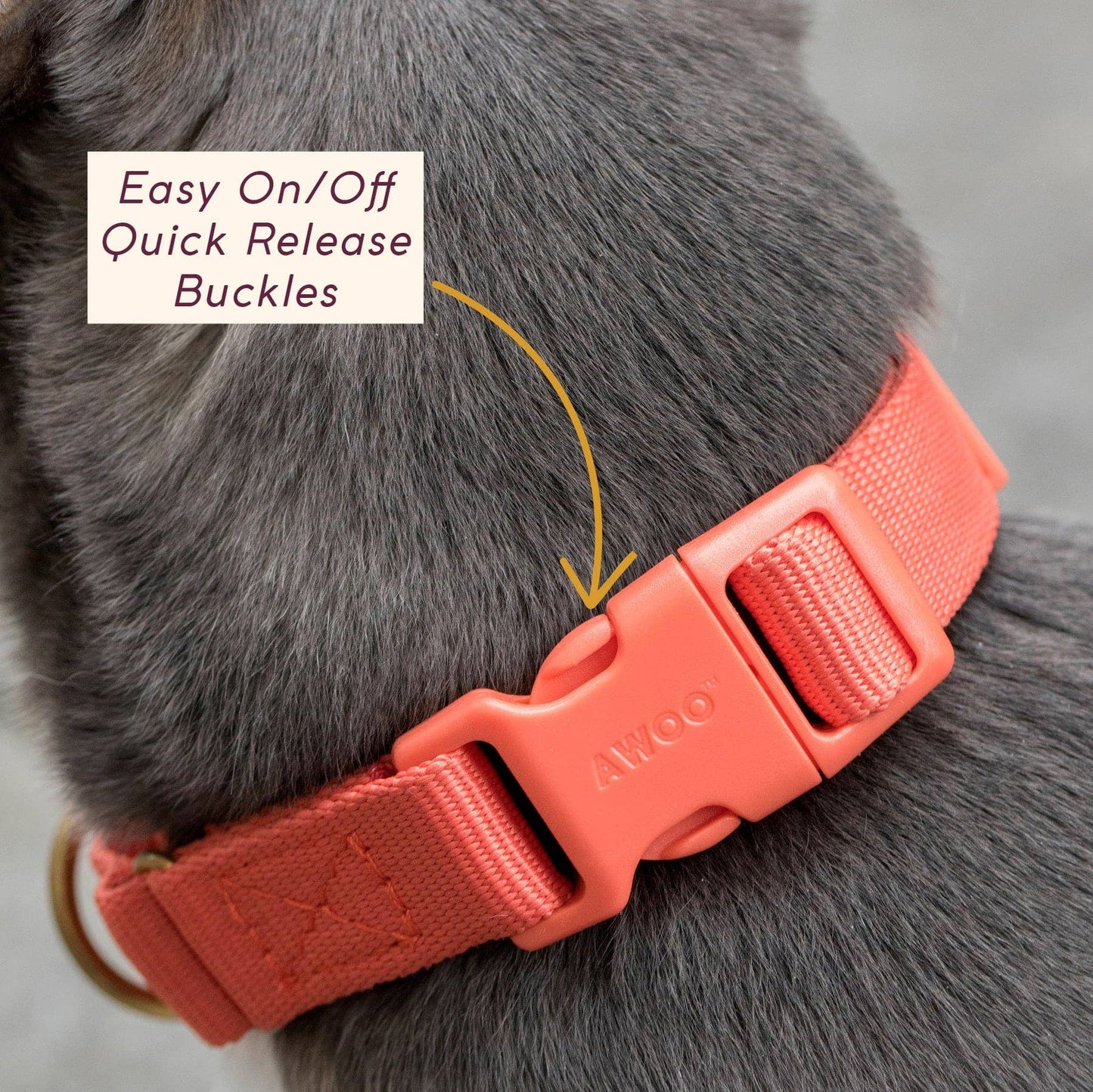 Marty Collar: NAVY / Large