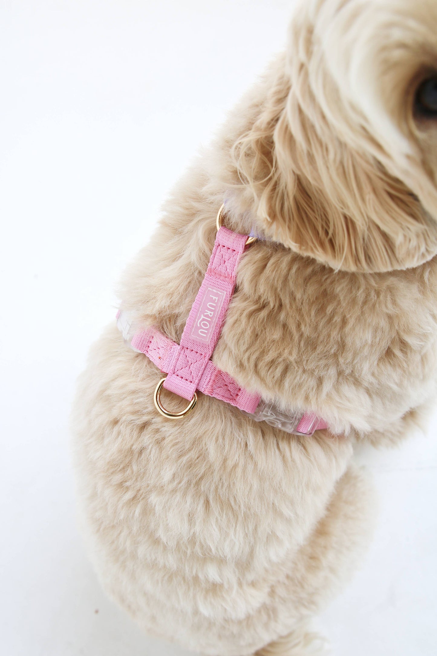 Lavender & Pink Dog Strap Harness