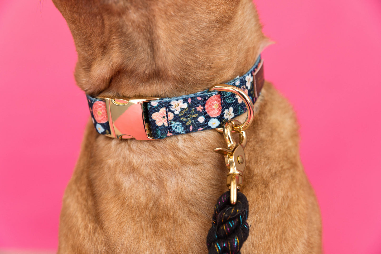 Riley Dark Floral Dog Collar